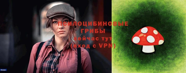 эйфоретик Инта