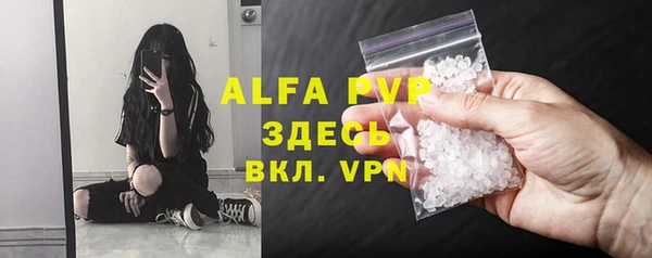 эйфоретик Инта