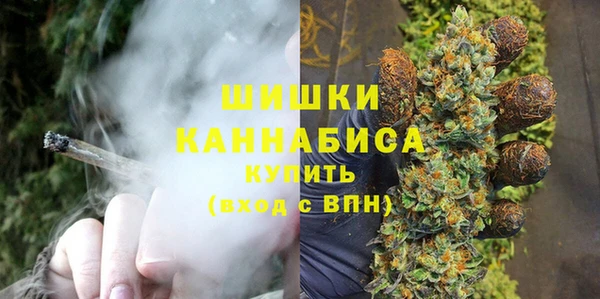 мет Инсар