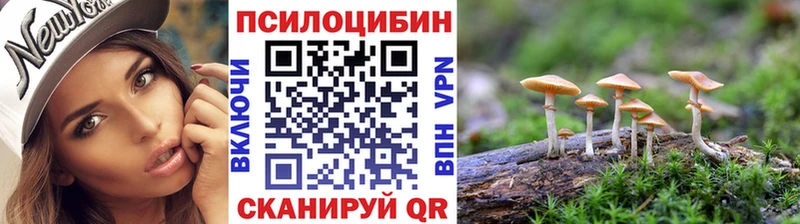 Купить  Заинск  Галлюциногенные грибы MAGIC MUSHROOMS 